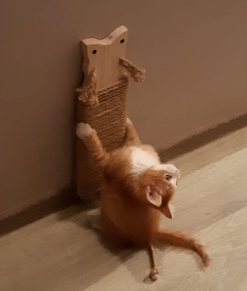 Точилки для кошачьих когтей (ручная работа)