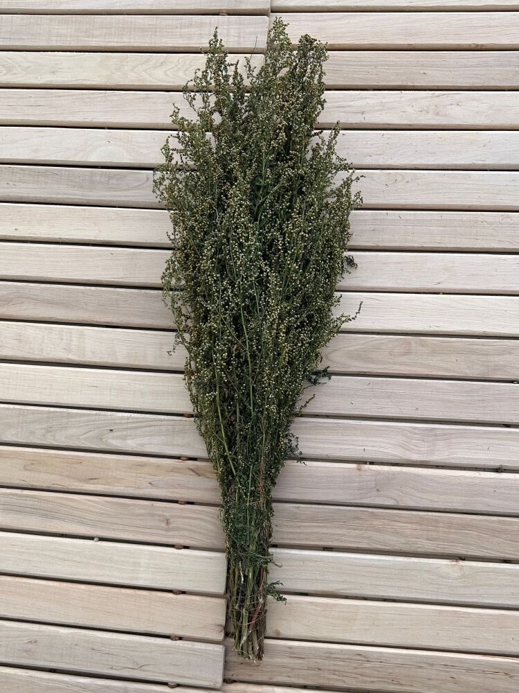 Pirts slotiņa "Citronu vērmele"