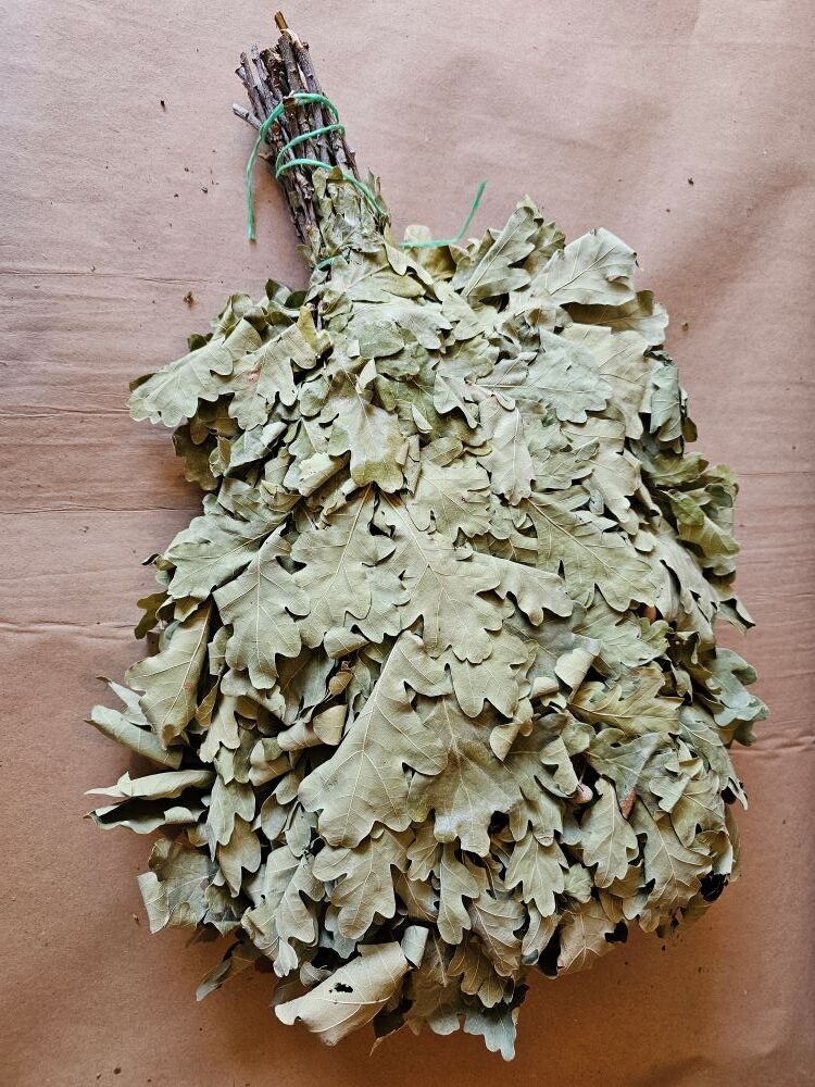 Дубовый веник для бани