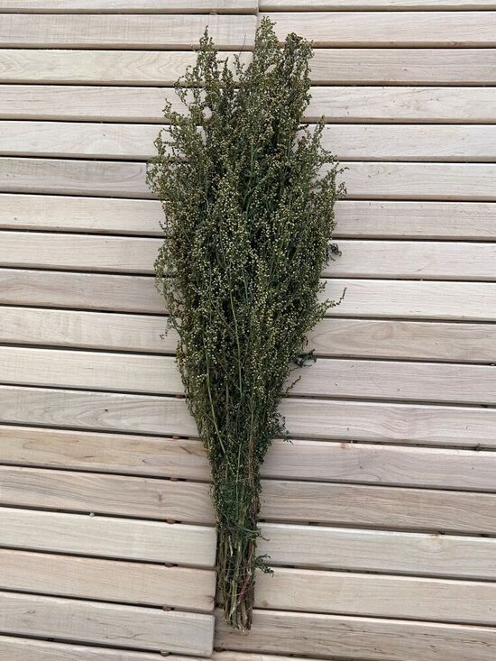 Sauna whisk "Lemon wormwood"