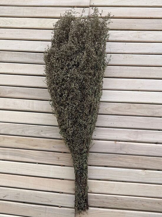 Sauna Whisk "Southern wormwood"