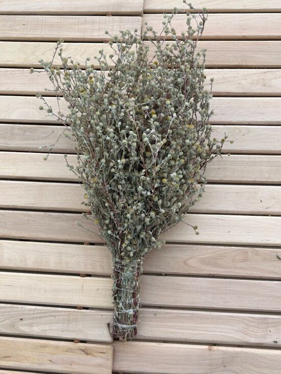 Sauna Whisk "Bitter Wormwood"